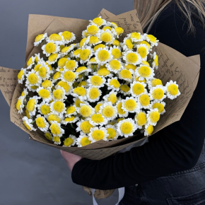 Букет "Моё солнышко" из 11 хризантем сантини  в Старой Купавне