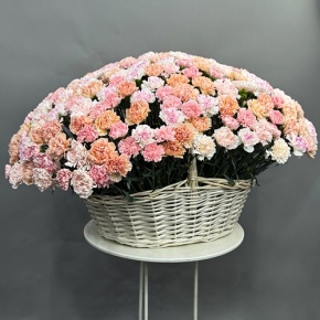 Композиция в корзине из 251 диантуса микс в Старой Купавне