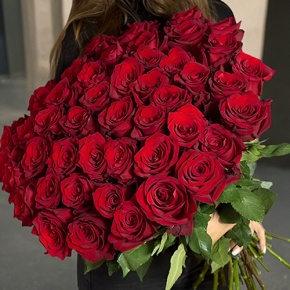 Букет 51 роза Эквадор Эксплорер (70 см) в Старой Купавне