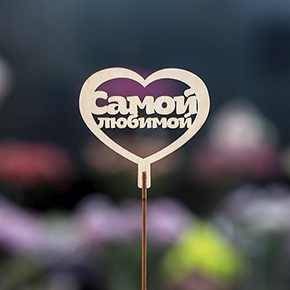 Топпер Самой Любимой в Старой Купавне
