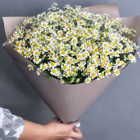 Букет из 17 ромашек танацетум в Старой Купавне