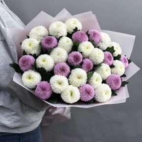 Букет из 31 хризантемы Момоко микс в Старой Купавне