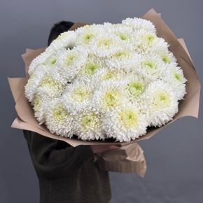 Букет из 27 хризантем Магнум в Старой Купавне