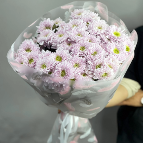 Букет "Нежный комплимент" из 9 кустовых хризантем в Старой Купавне