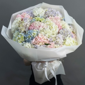 Букет из 23 гортензий микс в Старой Купавне