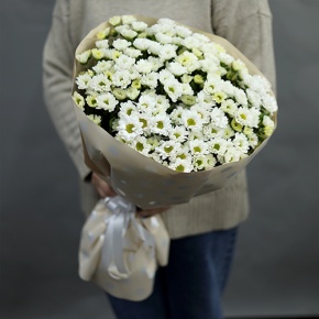 Букет "Милая моя" из 17 хризантем сантини в Старой Купавне