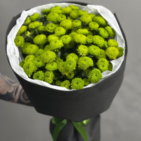 Стильный букет "Лайм" из 15 хризантем сантини в Старой Купавне