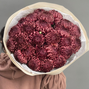 Букет 21 шоколадной хризантемы Бигоуди в Старой Купавне