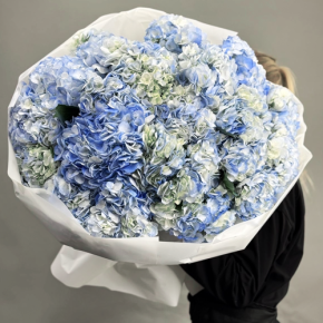 Букет из 23 синих гортензий в Старой Купавне