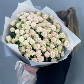 Букет из 25 кремовых кустовых роз (70 см) в Старой Купавне