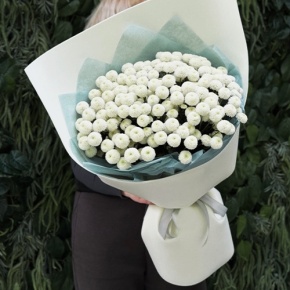 Букет из 25 хризантем Ньютон в Старой Купавне