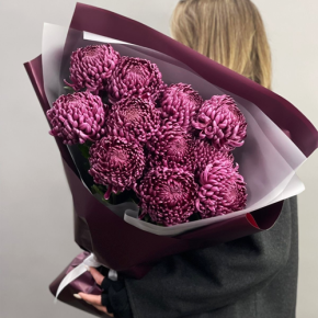 Букет "Изобилие" из 11 винных хризантем Бигоуди в Старой Купавне
