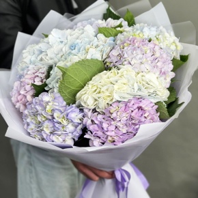 Букет из 9 Голландских гортензий микс в Старой Купавне