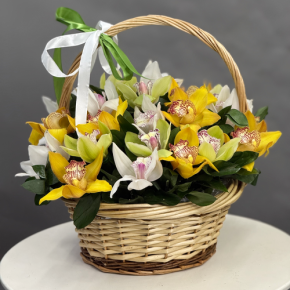 Композиция в корзине из 25 орхидей микс в Старой Купавне