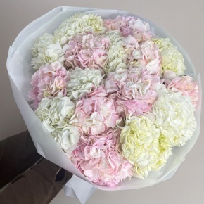 Букет из 17 нежных гортензий в Старой Купавне