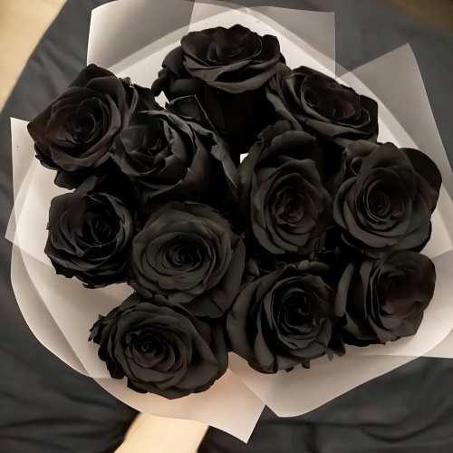 Букет "Черная королева" из 11 черных роз Эквадор (60 см) в Старой Купавне