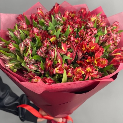 Монобукет из 25 красных альстромерий в Старой Купавне