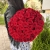 Букет 51 красной розы 50 см в Старой Купавне
