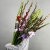 Букет из 25 гладиолусов микс в Старой Купавне