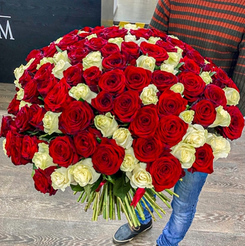 Букет 151 роза красный и белый микс (60 см) в Старой Купавне