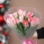 Букет "Фламинго" из 11 пионовидных тюльпанов в Старой Купавне