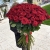 Букет из 101 красной розы (90 см) в Старой Купавне