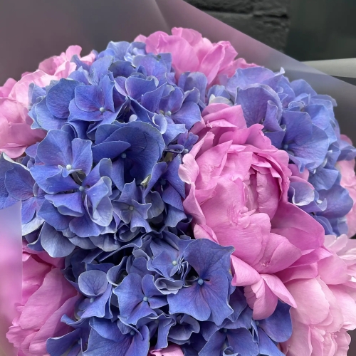 Букет "Ягодный пунш" из Голландских гортензий и пионов в Старой Купавне