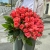 Букет 51 роза коралл (60 см) в Старой Купавне